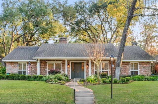 Briargrove tree-lined street — Houston TX